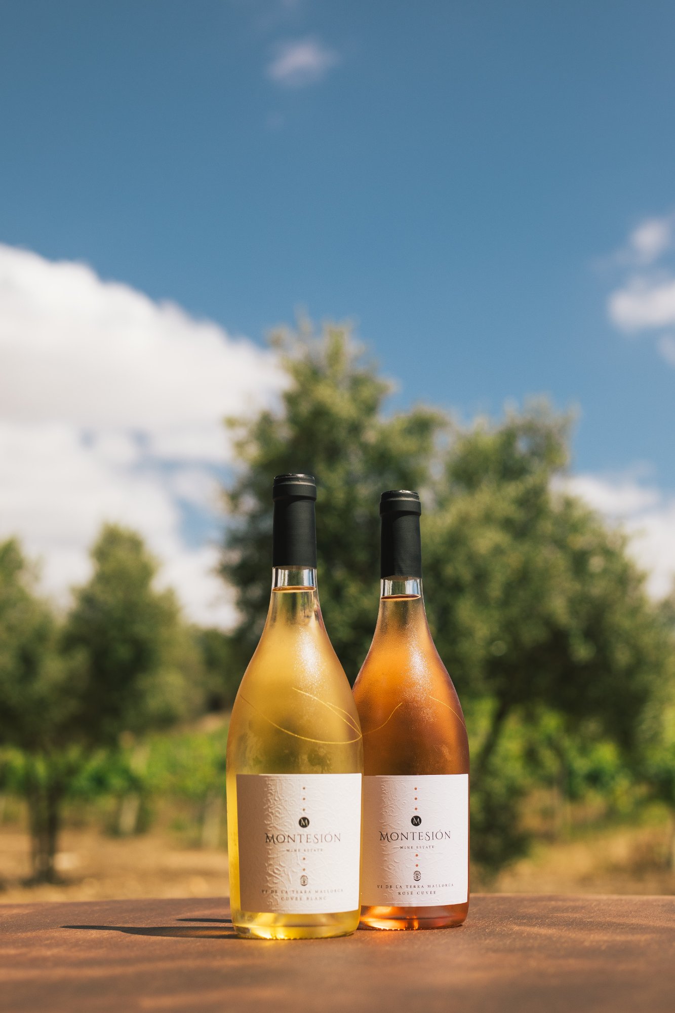 Biodynamische Weine von Montesión — Weiß- und Roséflaschen Porreres Mallorca